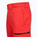 Spodnie narciarskie męskie The North Face Chakal Regular elevation red 4