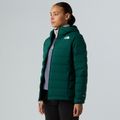 Kurtka puchowa damska The North Face Abseil Stretch Down Hoodie hunter green 4