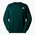 Bluza męska The North Face Simple Dome Crew hunter green 4