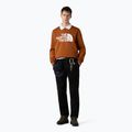 Bluza męska The North Face Easy Crew burnt umber 2