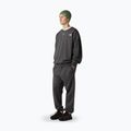 Spodnie męskie The North Face Expedition Celebration Relaxed Jogger Reg anthracite grey 2