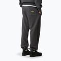 Spodnie męskie The North Face Expedition Celebration Relaxed Jogger Reg anthracite grey 3