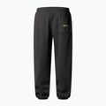 Spodnie męskie The North Face Expedition Celebration Relaxed Jogger Reg anthracite grey 5