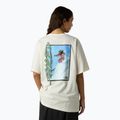 Koszulka męska The North Face NSE Slopes Relaxed Tee Graphic white dune 3