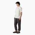 Koszulka męska The North Face Flower Dome Relaxed Graphic white dune 2
