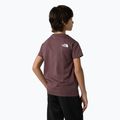 Koszulka dziecięca The North Face Simple Dome tawny quartz 5