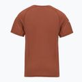 Koszulka termoaktywna męska Smartwool Merino Sport 120 burnt sienna 2