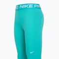 Legginsy damskie Nike Pro 365 Tight dusty cactus/white 3