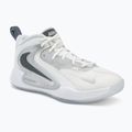 Buty do siatkówki Nike Hyperset 2 SE smmit white/metalic silver/pure platinum
