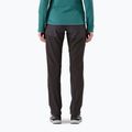 Spodnie  damskie Patagonia Terravia Alpine Pants black w/ink black 3