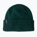 Czapka zimowa Patagonia Brodeo Beanie cascade green