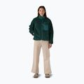 Kurtka polarowa damska Patagonia Classic Retro-X cascade green 2