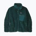 Kurtka polarowa damska Patagonia Classic Retro-X cascade green 4