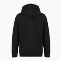 Bluza męska Patagonia '95 Oval Logo Uprisal Hoody black: kaleido 2