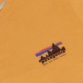 Koszulka męska Patagonia '73 Skyline T-Shirt dried mango 3