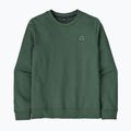 Bluza męska Patagonia Fitz Roy Massif Daily Crew Canopy Green