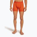 Bokserki termoaktywne męskie icebreaker Anatomica fervid 2