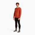 Longsleeve termoaktywny męski icebreaker 200 Oasis Crewe agate 4