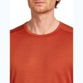 Longsleeve termoaktywny męski icebreaker 200 Oasis Crewe agate 6