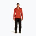 Bluza męska icebreaker Merino 260 Quantum IV Zip Hoodie agate 2