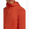 Bluza męska icebreaker Merino 260 Quantum IV Zip Hoodie agate 8