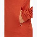 Bluza męska icebreaker Merino 260 Quantum IV Zip Hoodie agate 9
