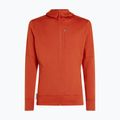 Bluza męska icebreaker Merino 260 Quantum IV Zip Hoodie agate 10