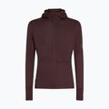 Bluza trekkingowa męska icebreaker Merino 200 RealFleece Descender Zip Hoodie java 10
