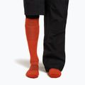Skarpety narciarskie męskie icebreaker Merino Ski+ Ultralight OTC fervid/agate 4