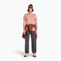 Koszulka trekkingowa damska icebreaker Merino 150 Tech Lite III Tee blush 4