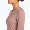 Longsleeve termoaktywny damski icebreaker 200 Oasis Crewe summit/blush/s 5