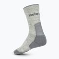 Skarpety damskie icebreaker Merino Hike+ Light Crew 2 pary blizzar hthr/alloy 2