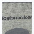 Skarpety damskie icebreaker Merino Hike+ Light Crew 2 pary blizzar hthr/alloy 3