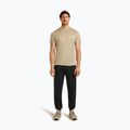 Koszulka męska icebreaker Merino 150 Tech Lite Peaceful Pass Tee flagstone 2