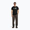 Koszulka męska icebreaker Merino 150 Tech Lite Transportage Tee black 4