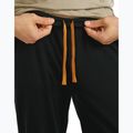 Spodnie trekkingowe męskie Icebreaker Merino 200 Shifter black 6