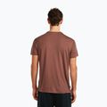 Koszulka męska icebreaker Merino Core Canoe Companions carob 3