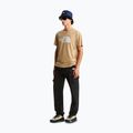Koszulka męska The North Face Evolution Half Dome khaki stone 2