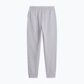 Spodnie męskie The North Face Evolution Simple Dome Regular Jogger tnf pale grey h 5