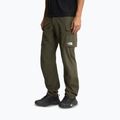 Spodnie trekkingowe męskie The North Face Exploration Cargo taupe green