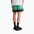 Spodenki trekkingowe męskie The North Face Leynar dimmed algae/tnf black 3