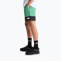Spodenki trekkingowe męskie The North Face Leynar dimmed algae/tnf black 4