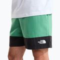 Spodenki trekkingowe męskie The North Face Leynar dimmed algae/tnf black 5