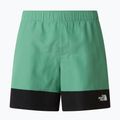 Spodenki trekkingowe męskie The North Face Leynar dimmed algae/tnf black 9