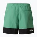 Spodenki trekkingowe męskie The North Face Leynar dimmed algae/tnf black 10