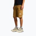 Spodenki trekkingowe męskie The North Face Exploration Cargo Shorts utility brown
