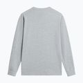 Longsleeve trekkingowy męski The North Face Evolution Simple Dome Regular LS Tee tnf pale grey heather 5