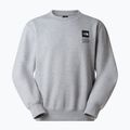 Bluza The North Face Celebration Relaxed Crew Graphic tnf light grey heather