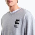 Bluza The North Face Celebration Relaxed Crew Graphic tnf light grey heather 9