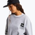 Bluza The North Face Celebration Relaxed Crew Graphic tnf light grey heather 10